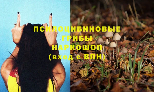 марки nbome Пересвет