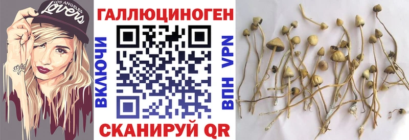 Псилоцибиновые грибы мицелий  Усть-Илимск 